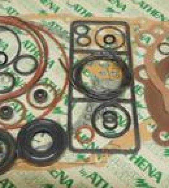 Serie guarnizioni e paraoli motore per Aprilia 350 4T ETX, Wind,