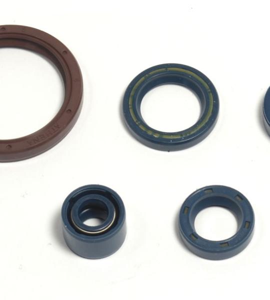 SERIE PARAOLIO HUSQVARNA TESTA CILINDRO 250-450 03-10