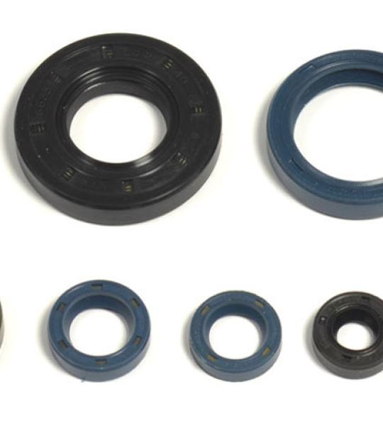 SERIE PARAOLIO HUSQUARNA 125WRK/WXE 89/94