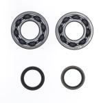 REVISIONE ALBERO MOTORE KIT SUZUKI RMZ 250 - KOYO 2010-21