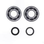 REVISIONE ALBERO MOTORE KIT SUZUKI RM 250 '05-08