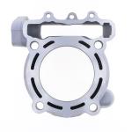 GRUPPO TERMICO KAWASAKI KX 250F D.77 06-08