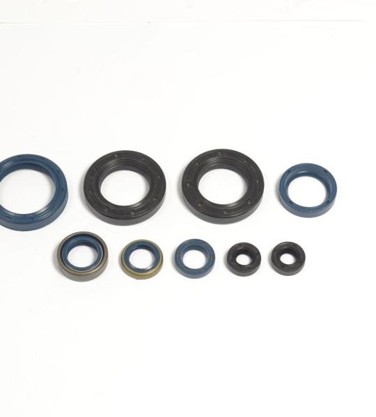 SERIE PARAOLIO HUSQUARNA 250WRK-WXE 89/91