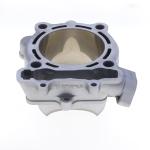GRUPPO TERMICO SUZUKI RMZ250 D.83 07-09