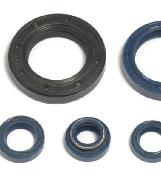 SERIE PARAOLIO HUSQVARNA 125 WRE '93-96