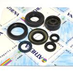 SERIE PARAOLIO YZ 80 E/LC/LV 93-01