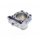 GRUPPO TERMICO KAWASAKI KX 250 D78 2021