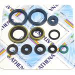 SERIE PARAOLIO KX250F 04-19/RM-Z250 04-06