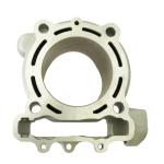 GRUPPO TERMICO KAWASAKI KX F250 D.77 15