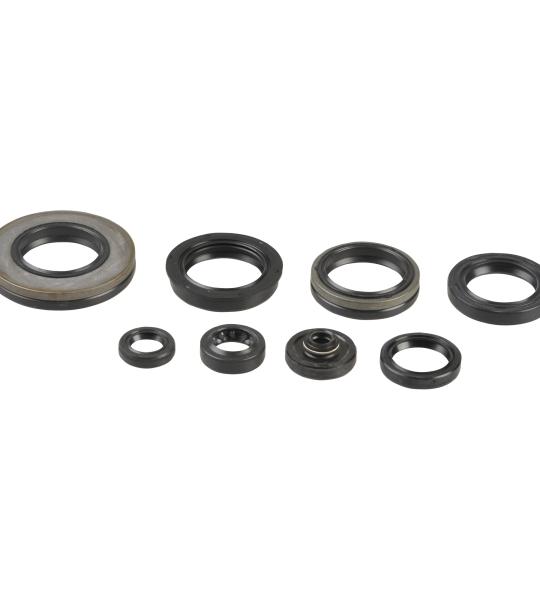SERIE PARAOLIO SUZUKI RM 250 03-08