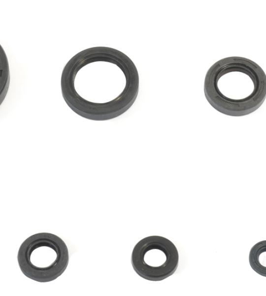 SERIE PARAOLIO HONDA CR 250 RE 84