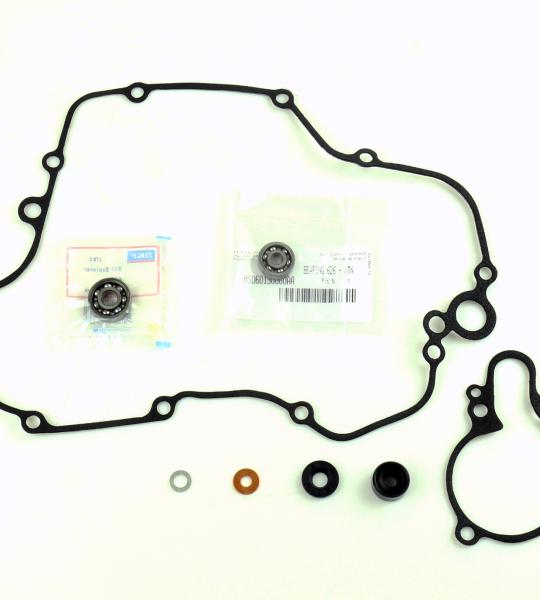 POMPA ACQUA KIT SERIE GUARNIZIONI + CUSCINETTO KAWASAKI KX 125 03-07