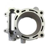 GRUPPO TERMICO KAWASAKI KX F450 D.100 09-14