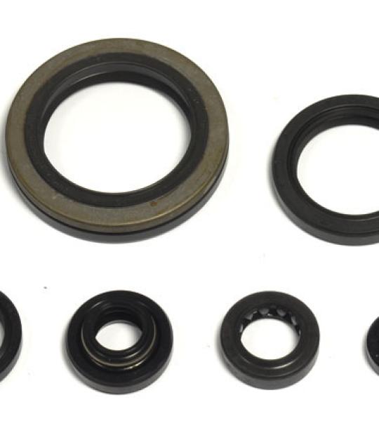 SERIE PARA.SUZ.RM 250 P/R/S 93-95