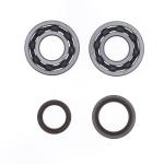 REVISIONE ALBERO MOTORE KIT BETA RR 125