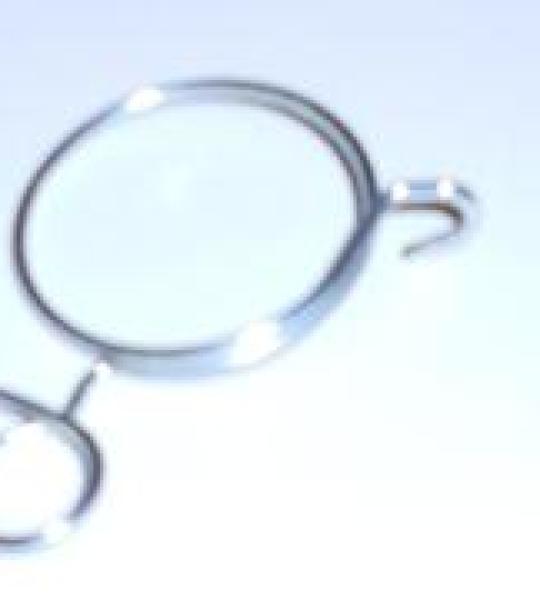 Molletta inferiore forcella per Benelli S50