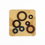 SERIE PARAOLIO KTM SX-F 250/350 2016-21