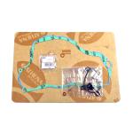 POMPA ACQUA KIT SERIE GUARNIZIONI + CUSCINETTO SUZUKI RM250 01-08
