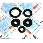SERIE PARAOLIO BMW G450X 07-10/HUSQ TESTA CILINDRO -TESTA CILINDRO 49 11-14
