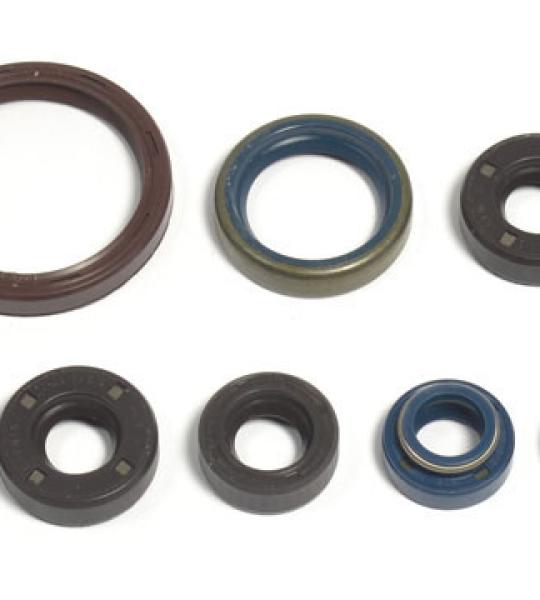 SERIE PARAOLIO APRILIA SXV/RXV 450 06-11