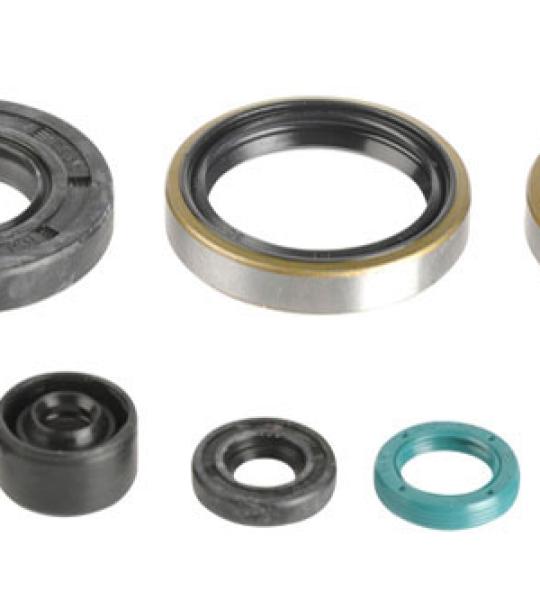 SERIE PARAOLIO KAWASAKI KX 250 '05-08