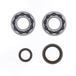 REVISIONE ALBERO MOTORE KIT BETA RR 300