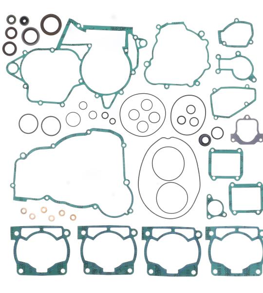 KIT GUARNIZIONI MOTORE BETA RR 300 13-22 + OIL SEALS