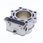 GRUPPO TERMICO HUSQVARNA TE/TESTA CILINDRO 250 D.76 06-09