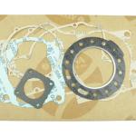 KIT GUARNIZIONI MOTORE MAICO 490
