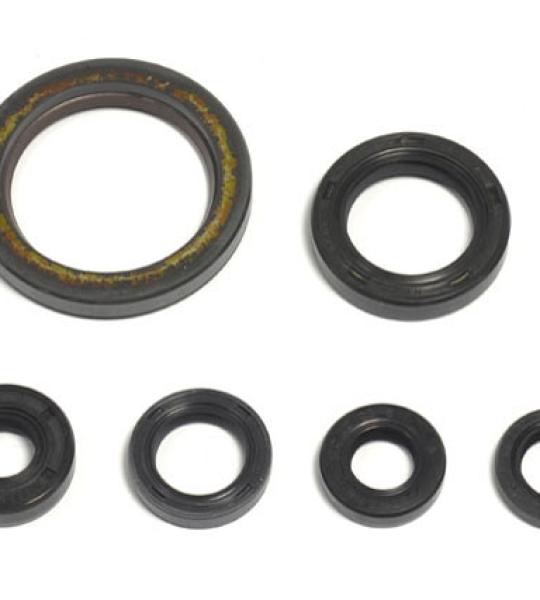 SERIE PARAOLIO HONDA CRF250R 04-17