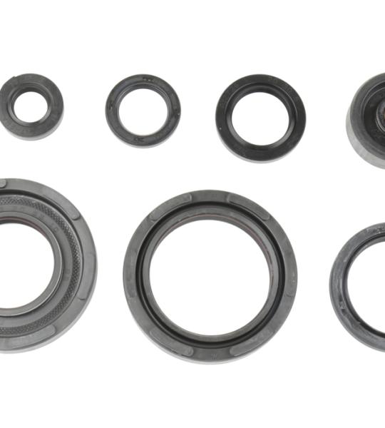 SERIE PARAOLIO YAMAHA YZ 250 S/T 86-87