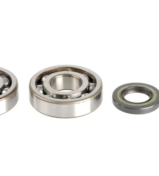 REVISIONE ALBERO MOTORE KIT KAWASAKI KX 250 94-01