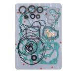 KIT GUARNIZIONI MOTORE BETA RR 125 18-22 + OIL SEALS