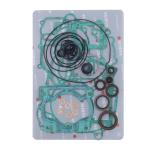KIT GUARNIZIONI MOTORE BETA RR 300 13-22 + OIL SEALS