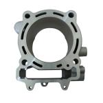 GRUPPO TERMICO KAWASAKI KX F450 D.96 15
