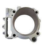 GRUPPO TERMICO KAWASAKI KX F450 D.100 09-14