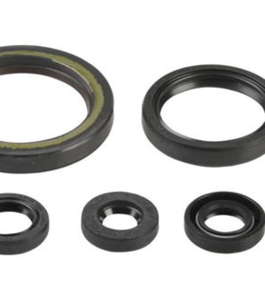SERIE PARAOLIO HONDA CRF450R 02-08/CRF450X 05-17