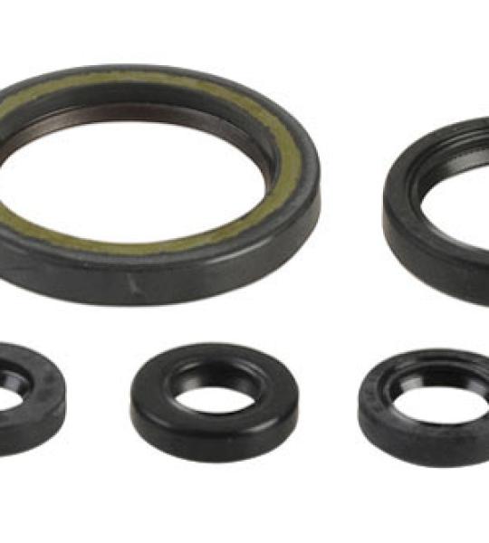 SERIE PARAOLIO HONDA CFR450R 09-16