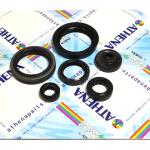 SERIE PARAOLIO SUZUKI RM-Z 450 '05-07