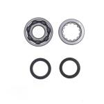 REVISIONE ALBERO MOTORE KIT HONDA CRF 450 R 19-22