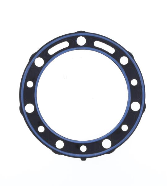 GUARNIZIONE TESTA BETA EVO 300 D.79,2 MM