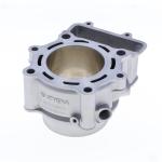 GRUPPO TERMICO HUSQVARNA TE/TESTA CILINDRO 250 D.76 06-09