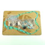 POMPA ACQUA KIT SERIE GUARNIZIONI + CUSCINETTO SUZUKI RM85 02-21
