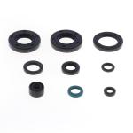 SERIE PARAOLIO KAWASAKI KX80 88-00/KX85 03-22/KX100-RM100 98-14
