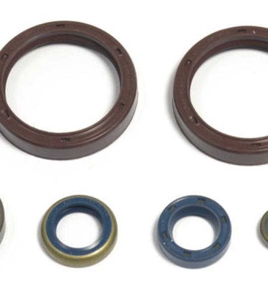 SERIE PARAOLIO HUSQVARNA WR/CR 250 99-14