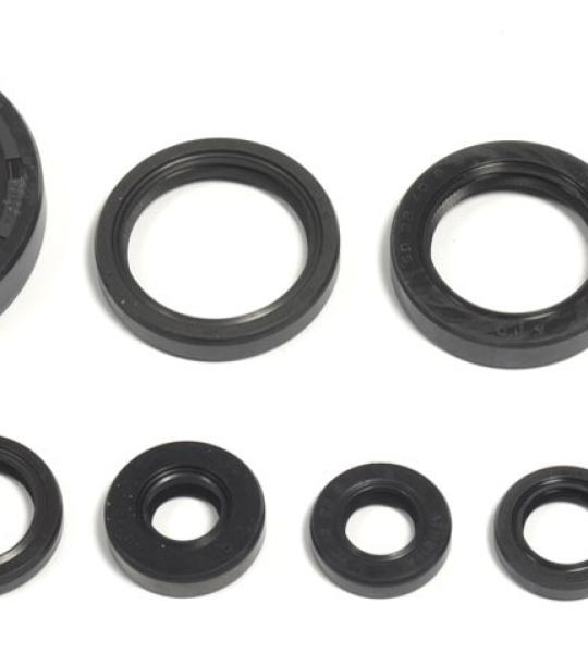 SERIE PARAOLIO CR500 85-01/CR250 85-91
