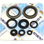 SERIE PARA.SUZ.RM 250 P/R/S 93-95