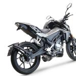 Scarico GPR compatibile con Cf Moto 300 NK 2022-2024 - GP Evo4 Poppy