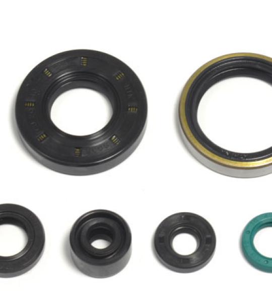 SERIE PARAOLIO KAWASAKI KX 250 95-04