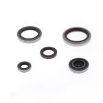 SERIE PARAOLIO BETA RR 300 13-22